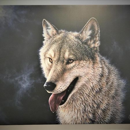 White Wolf Apartment Braşov Extérieur photo