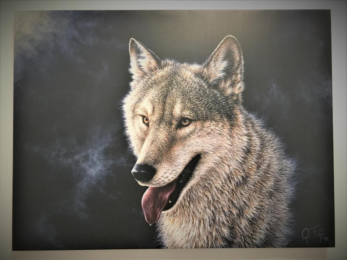 White Wolf Apartment Braşov Extérieur photo