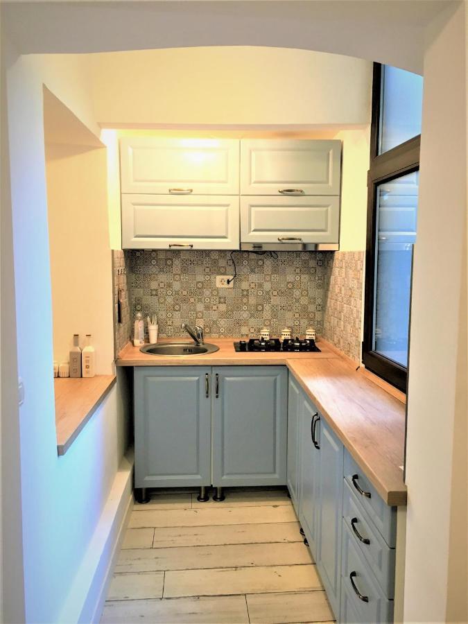 White Wolf Apartment Braşov Extérieur photo