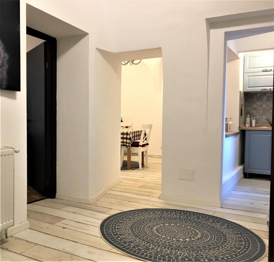 White Wolf Apartment Braşov Extérieur photo